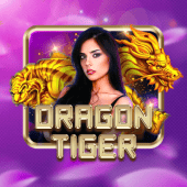 Dragon Tiger 29bet casino